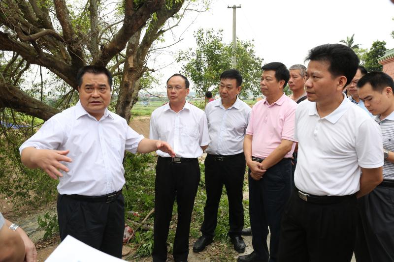 日前,副市长陈伟杰带队调研建成区黑臭水体整治情况,麻章区委书记符贤