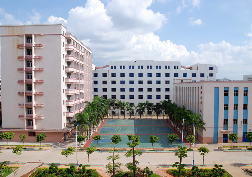 高校:广东海洋大学,湛江师范学院,广东医学院,湛江现代科技职业学院