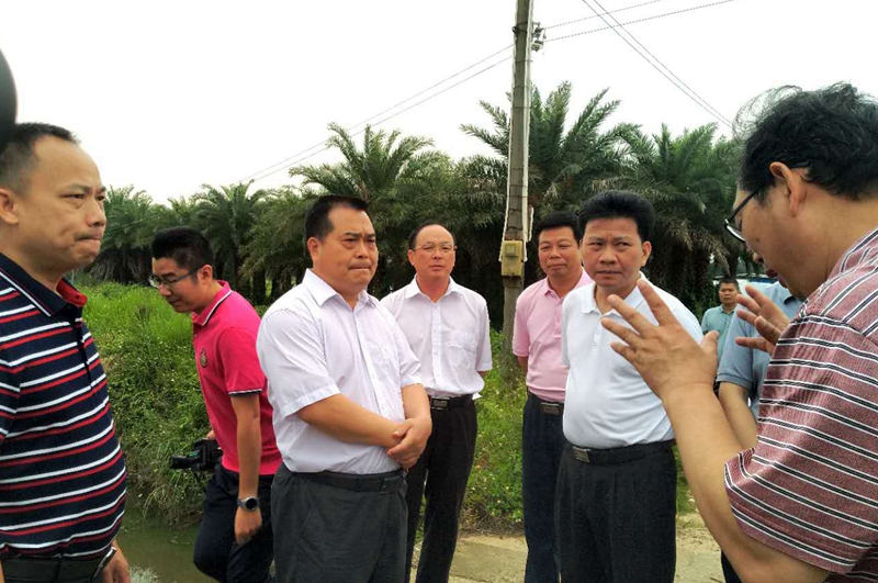 陈伟杰副市长带队调研黑臭水体整治工作