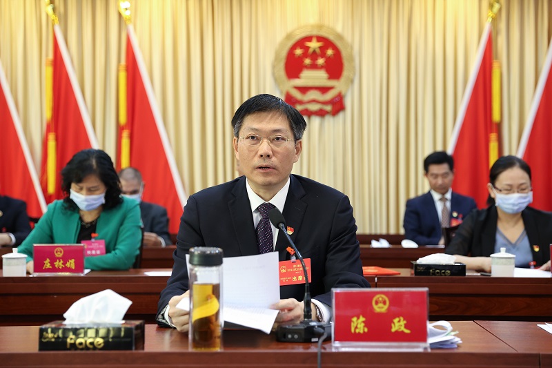 麻章区委书记陈政作讲话5(图文 杨阳传 陈文雅 杨宇).jpg