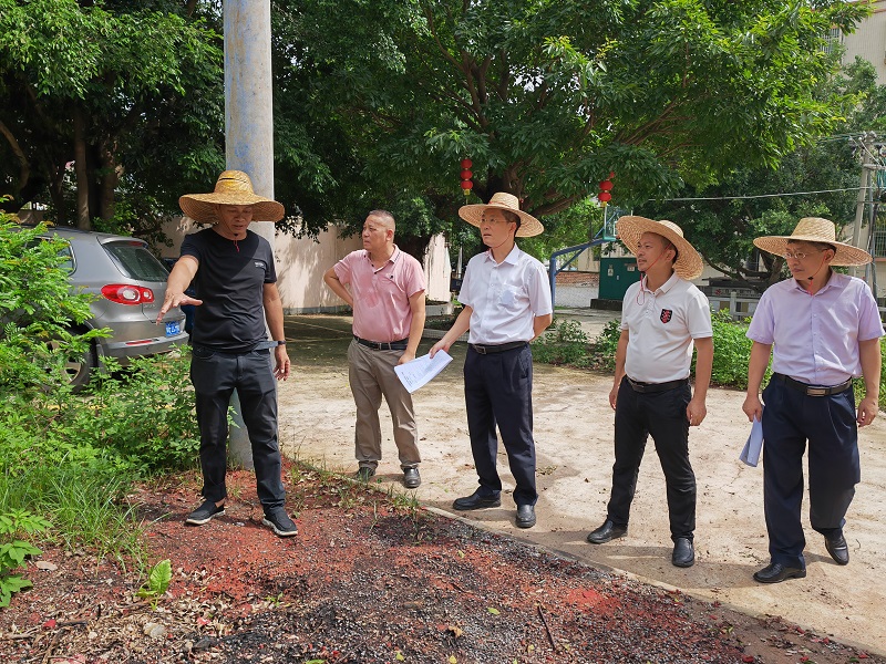7月7日至8日,区委书记陈政深入到麻章镇长布村,后北村,北沟村,云头下