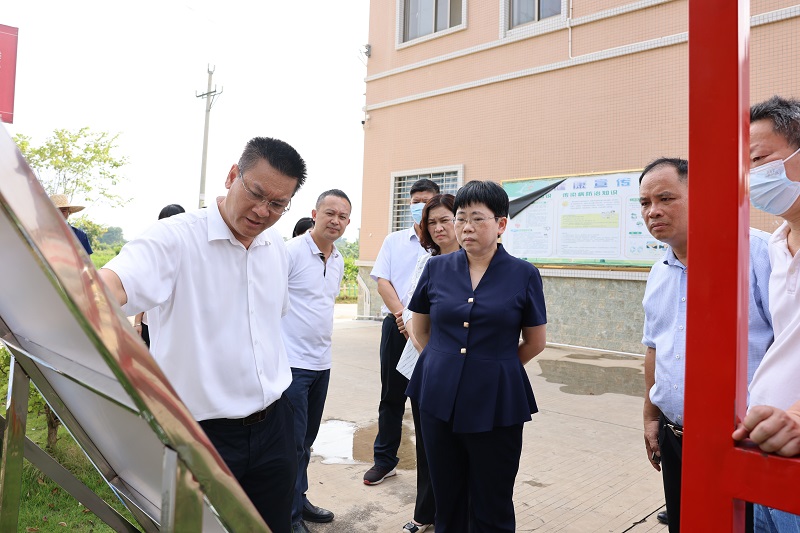 市领导到麻章镇白水坡村指导美丽宜居示范村建设