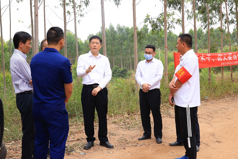 区委书记陈政率队检查环保督察整改落实情况并开展巡河巡林等工作