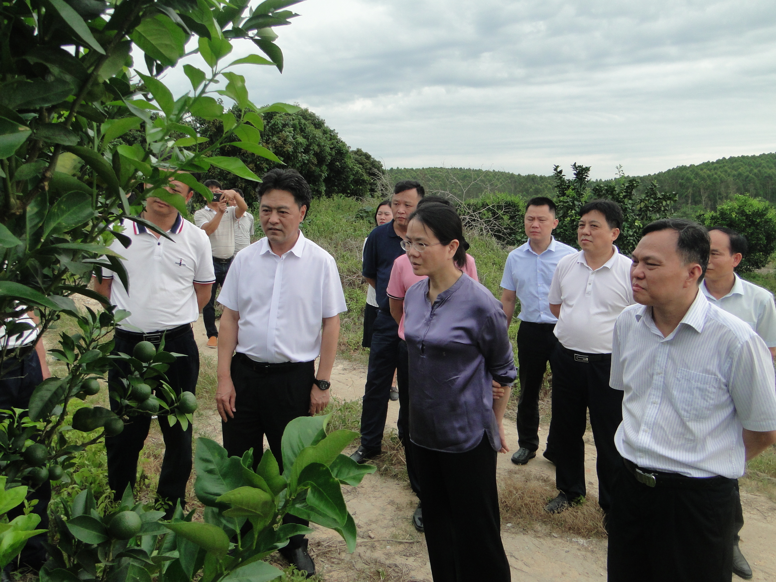 省社党组书记理事会主任叶梅芬赴我市调研