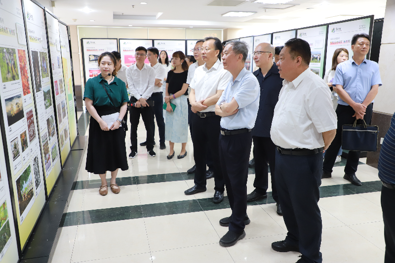 参观“多彩乡村系列实践活动成果‘百校展’”.JPG