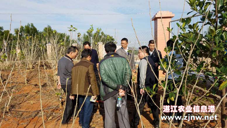 副调研员莫永进携水务局驻村干部和帮扶村雷州市雷高镇迈生村村干部