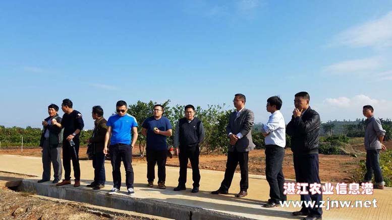 帮扶村雷州市雷高镇迈生村村干部一行来到南亚热带作物研究所良种良苗