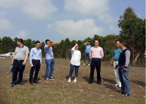 帮扶村南三镇麻弄村进行扶贫项目工作调研_湛江市人民政府门户网站