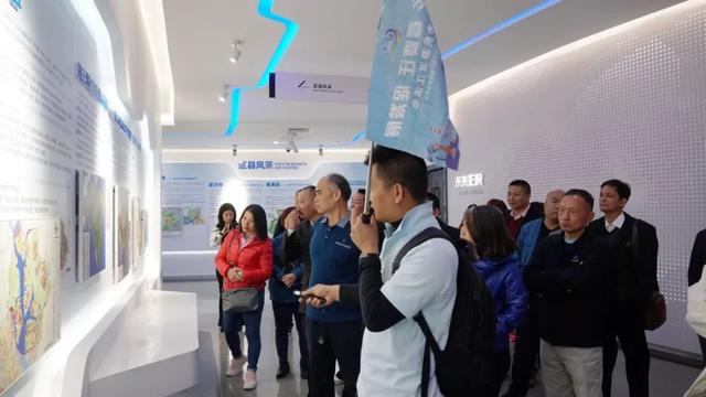 100名出租车司机齐齐出动！擦亮湛江城市的“流动名片”……