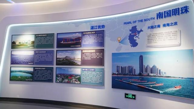 100名出租车司机齐齐出动！擦亮湛江城市的“流动名片”……