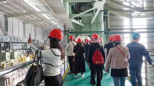 100名出租车司机齐齐出动！擦亮湛江城市的“流动名片”……