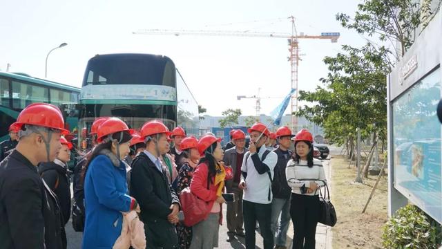 100名出租车司机齐齐出动！擦亮湛江城市的“流动名片”……