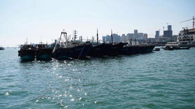 100名出租车司机齐齐出动！擦亮湛江城市的“流动名片”……