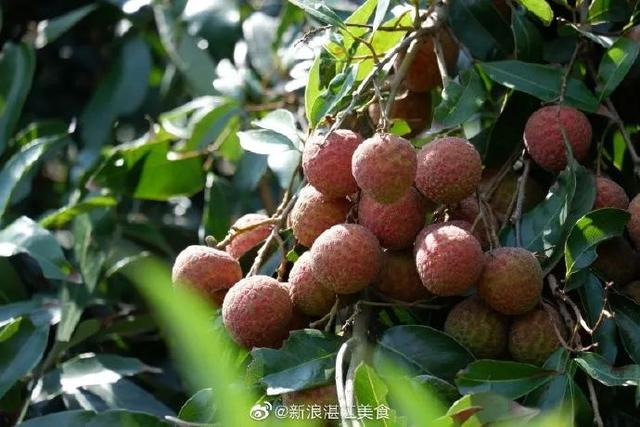 就在周日，千人骑行！环雷200公里骑行活动，约吗！