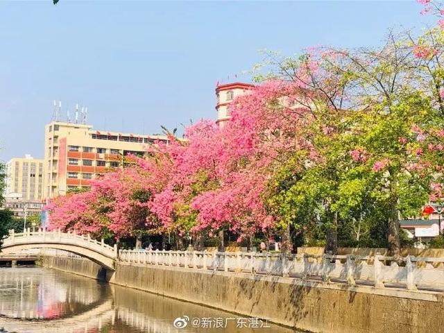 就在周日，千人骑行！环雷200公里骑行活动，约吗！