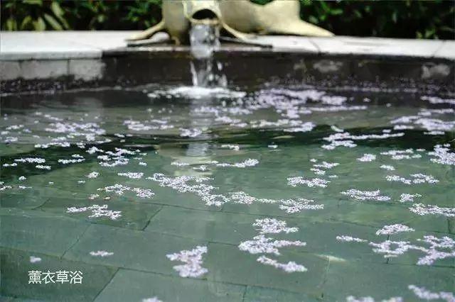 桥的另一边，深藏着一个湛江秋冬爆款“温泉村”