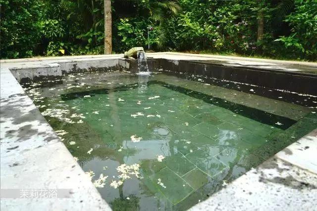 桥的另一边，深藏着一个湛江秋冬爆款“温泉村”
