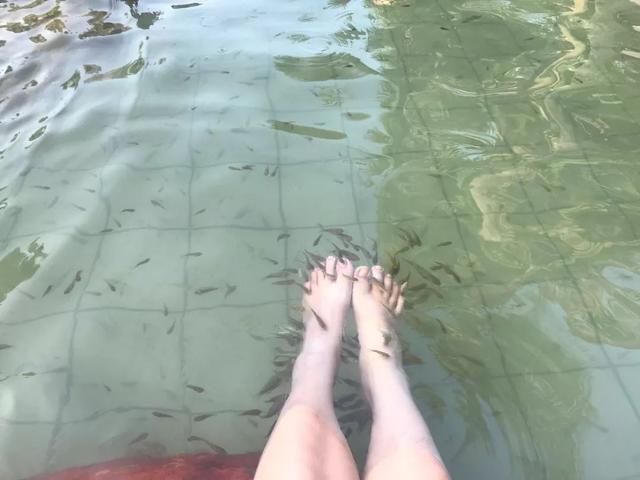 桥的另一边，深藏着一个湛江秋冬爆款“温泉村”