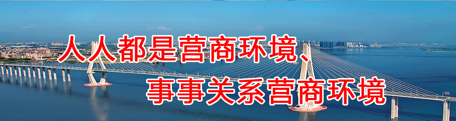 湛江市营商环境整治提升年宣传标语