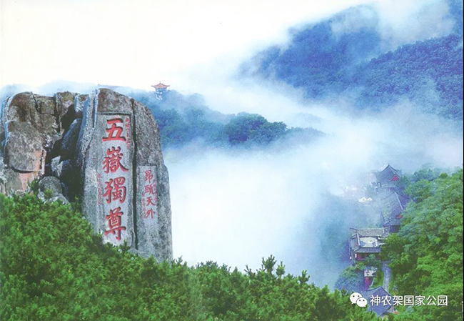 山东泰山.jpg