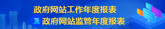 *网站工作年度报表及*网站监管年度报表