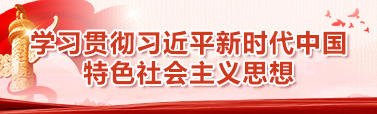 学习贯彻习近平新时代中国特色社会主义思想