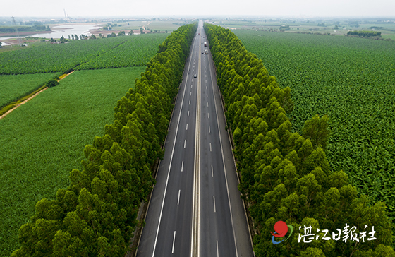 “白改黑”改造工程建成通车.jpg
