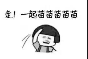 健康1.jpg