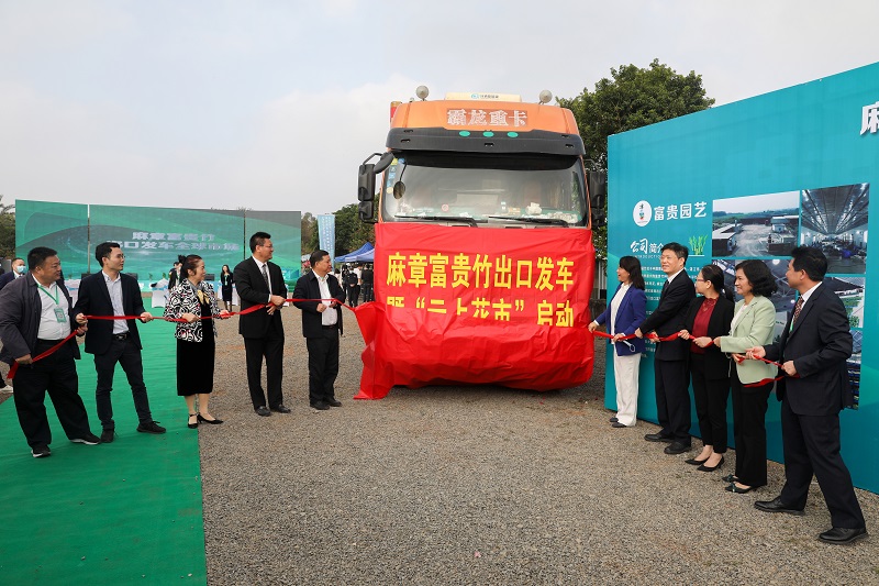 发车！麻章富贵竹“走出去” 开拓RCEP新市场2（图文杨阳传）.jpg