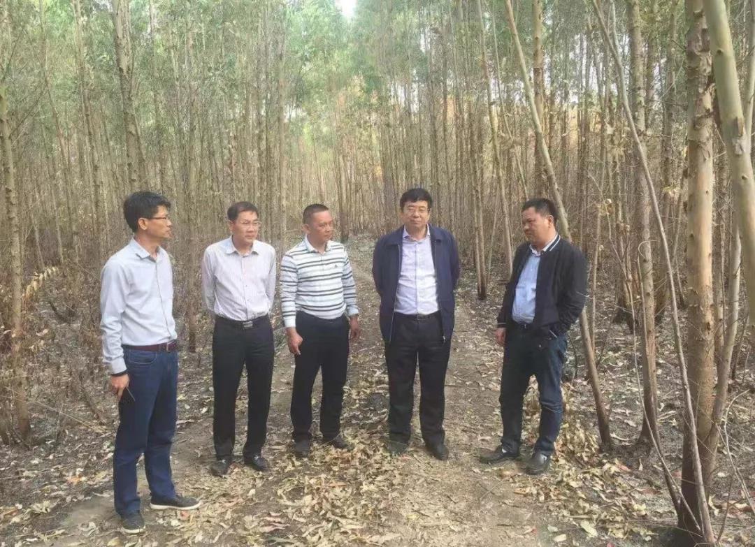 20191220经开区图片.jpg