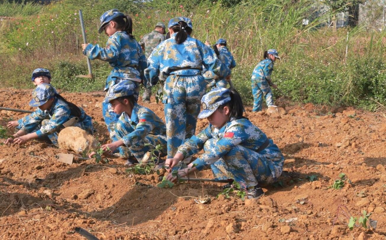 阎良雏鹰基地图片