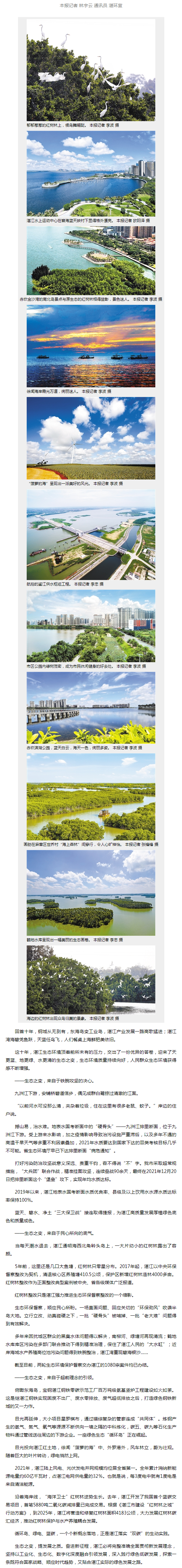 湛江日报数字报-生态之变：天更蓝 地更绿 水更清.png