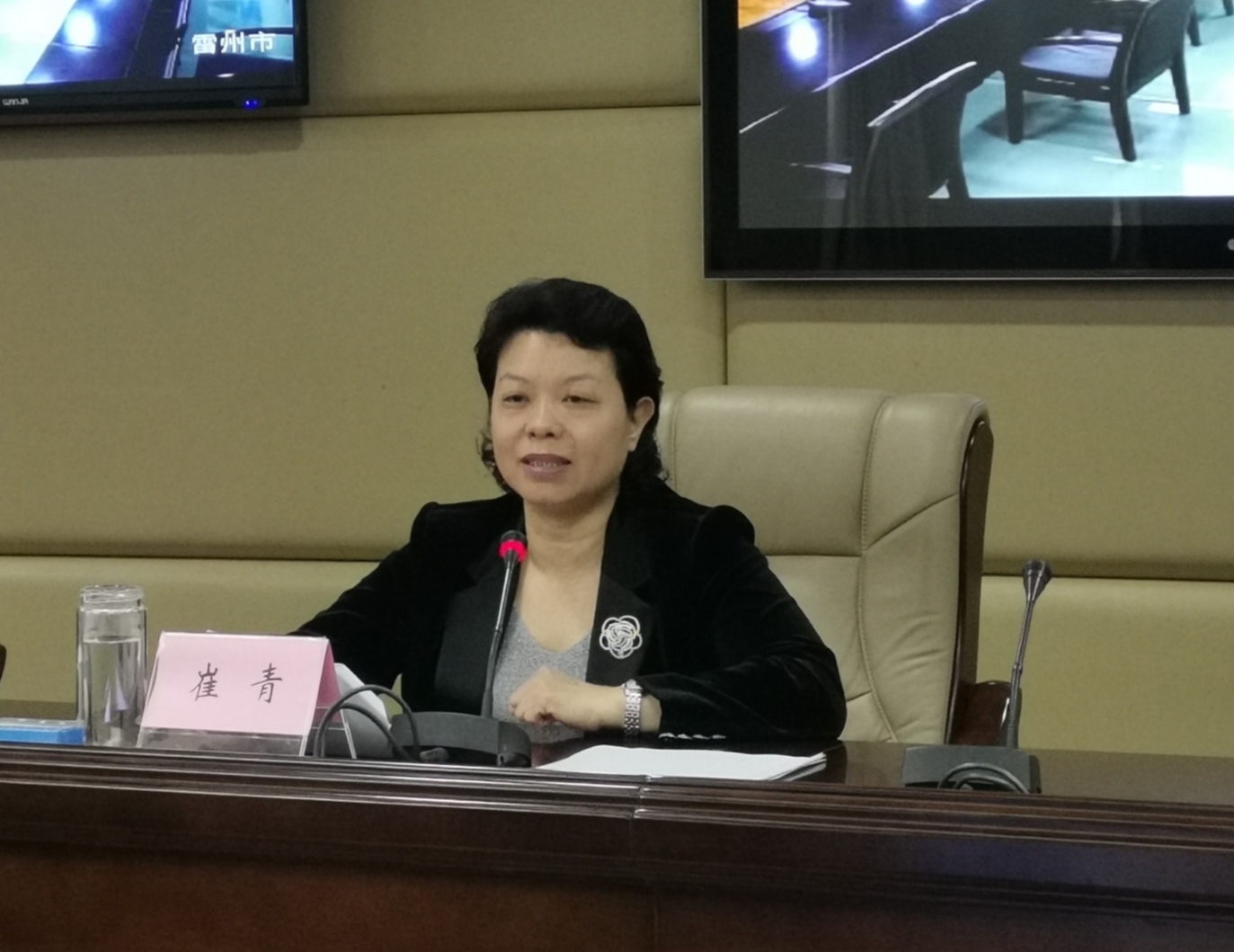 湛江市副市长、湛江市地方志编纂委员会副主任崔青在全市地方志工作电视电话会议上作讲话.jpg