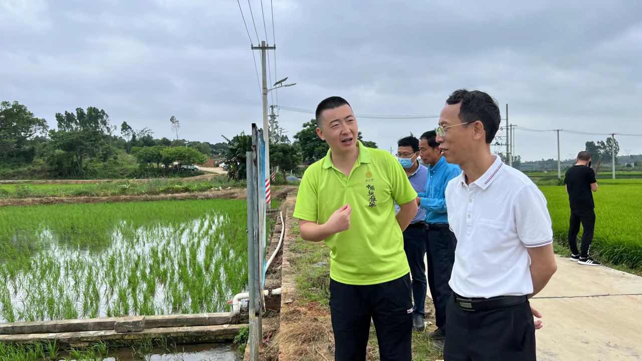 提高自给率，向盐碱地要粮食——市粮食和物资储备局到遂溪县海水稻原生境保护区调研