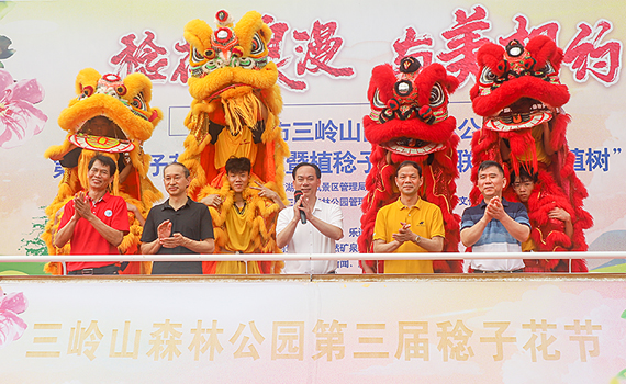 “稔花浪漫 与美相约”｜三岭山国家森林公园举办第三届稔子花节