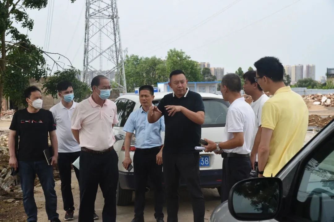 DSC_1991.JPG 图片