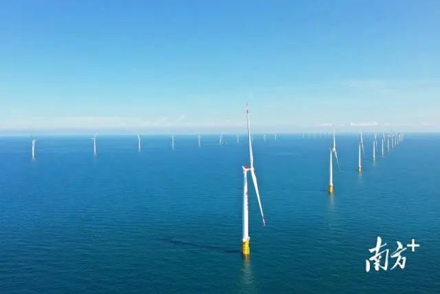 位于徐闻外罗海域的海上风电场。国电投供图 位于徐闻外罗海域的海上风电场。国电投供图