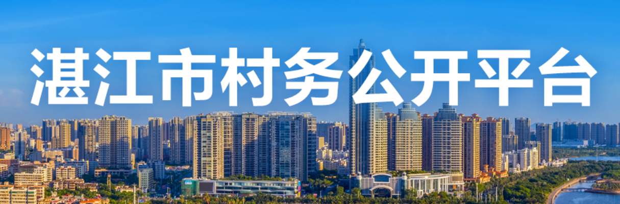 湛江市村务公开平台