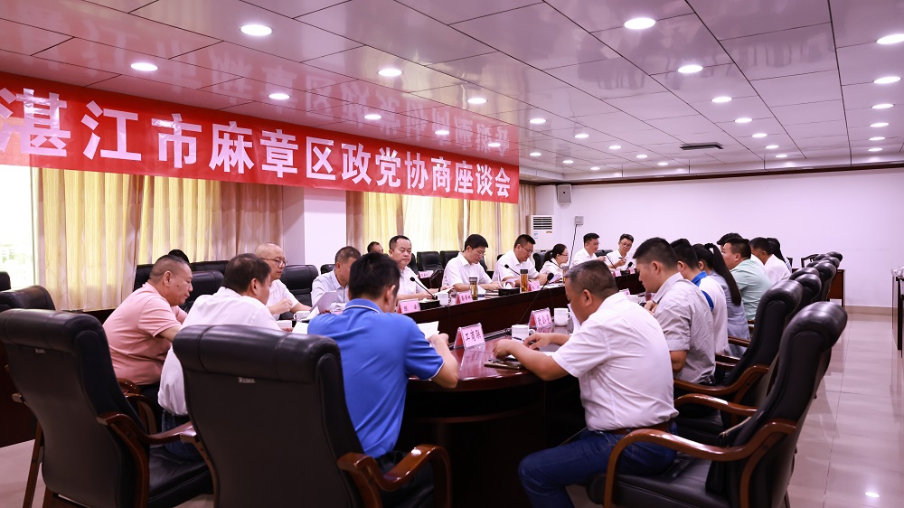 麻章区召开政党协商座谈会.jpg