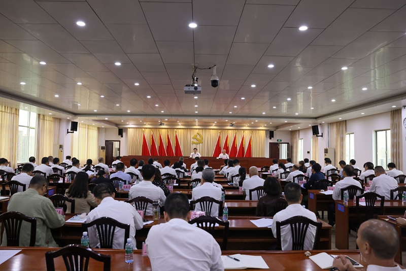 区委书记陈政讲主题教育专题党课.jpg
