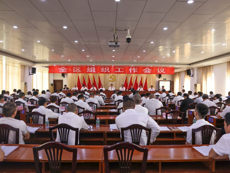 全区组织工作会议召开 深入学习贯彻习近平总书记关于党的建设的重要思想为麻章跨越式高质量发展提供坚强组织保证.jpg