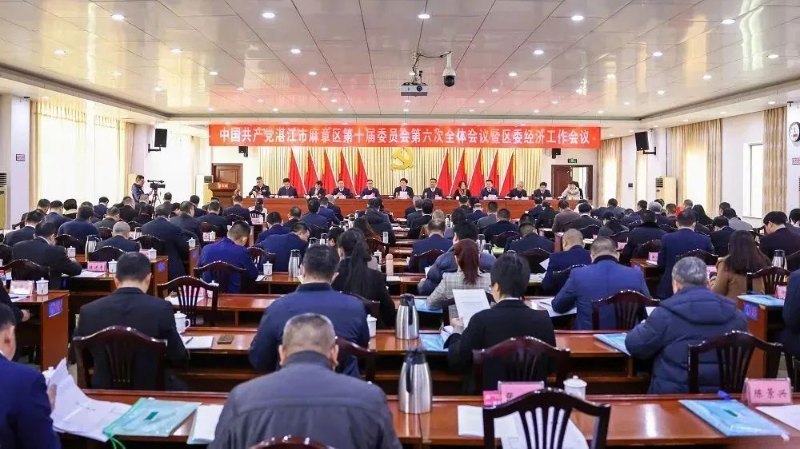 中共麻章区委十届六次全会暨区委经济工作会议召开.jpg