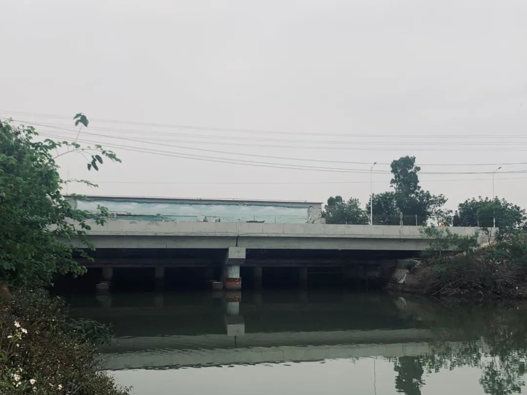 湛江市坡头区国道228线官渡桥（新）危旧桥梁改造工程顺利完工通车
