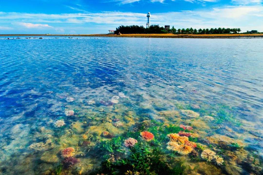640.webp (2).jpg