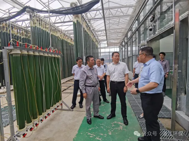 湛江市生态环境局局长邓国庆赴遂溪县调研生态环境保护工作