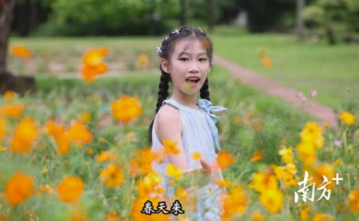 12首德美湛江优秀童谣，点燃少年儿童传唱热情
