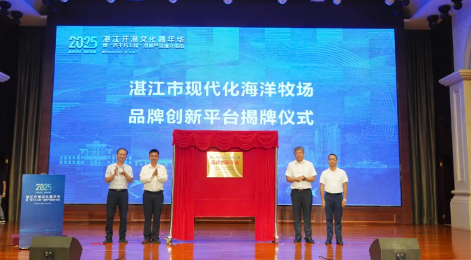 全国首单硇洲族大黄鱼亲本鱼保险落地！湛江开渔文化嘉年华“秀”实力