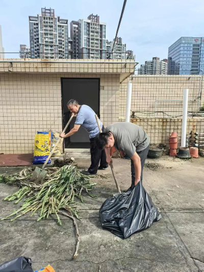 已编辑图片