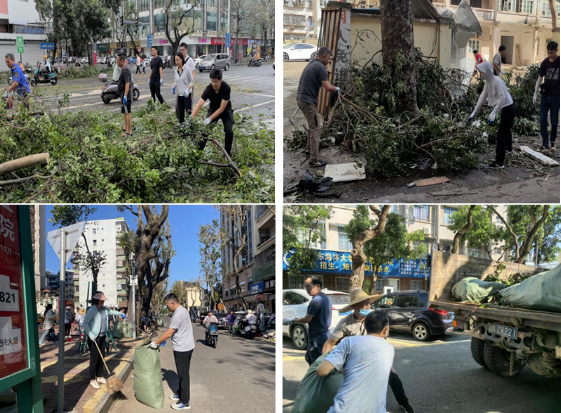 先锋引领聚合力，清障救灾显担当——湛江市统计局组织党员干部先锋队开展清障救灾工作