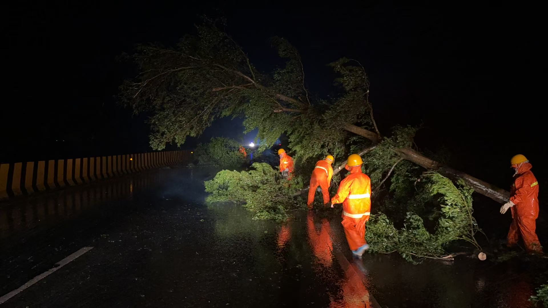 养护工人连夜奋战,及时清理伏倒路面树木.jpg